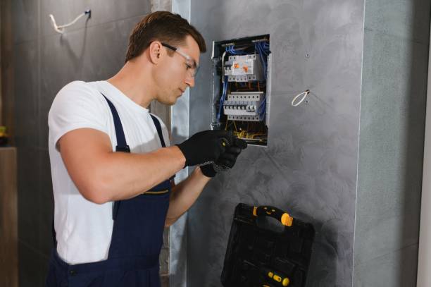 Best Electrical Troubleshooting Services  in Palmetto Bay, FL