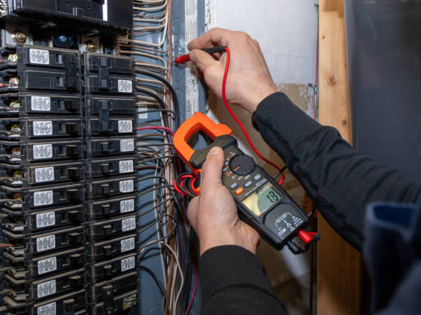 Best Local Electrician Companies  in Palmetto Bay, FL