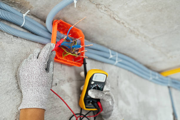 Best Electrical System Inspection  in Palmetto Bay, FL
